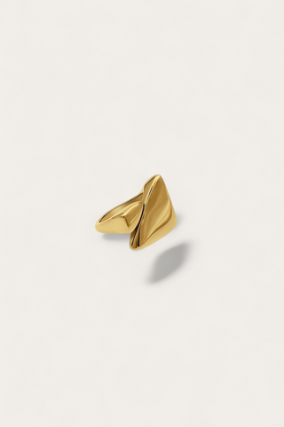 Aris Ring