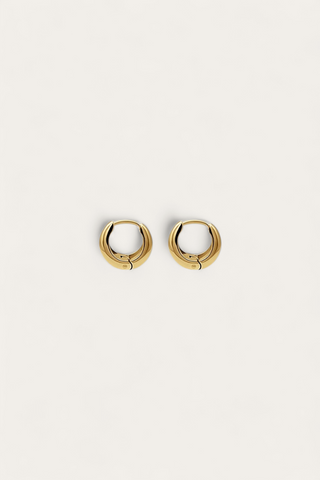 Auro Hoops S